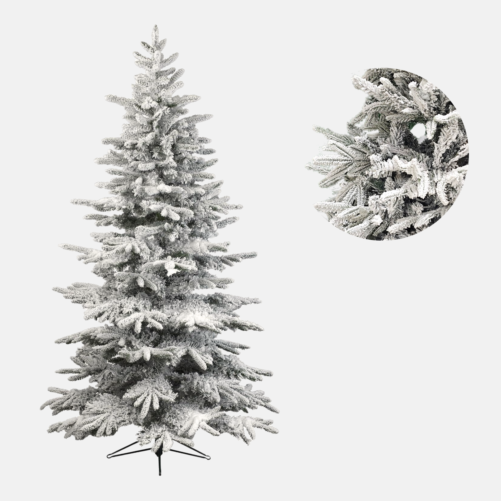 Premium snežna jelka