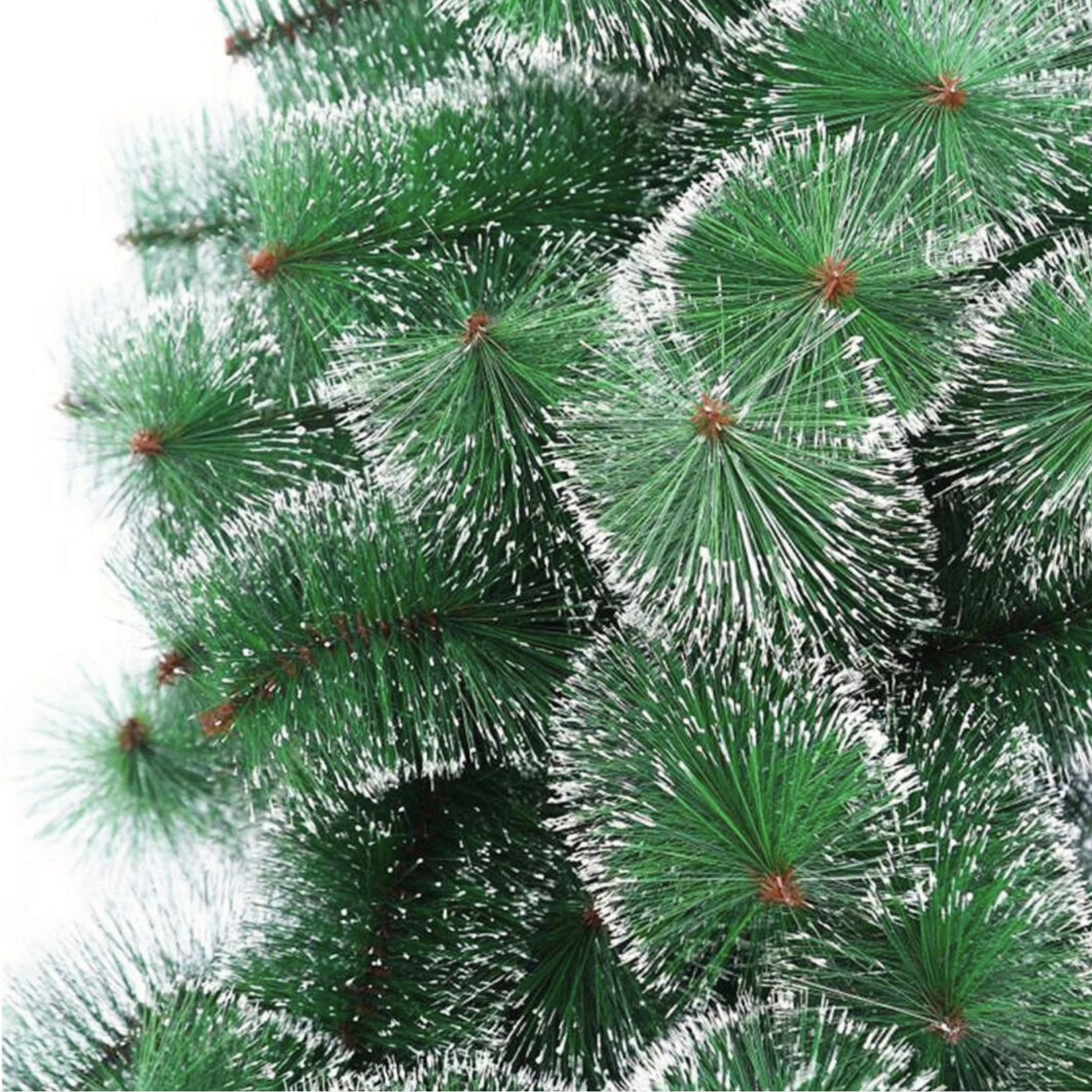 Novogodišnji bor sa snegom