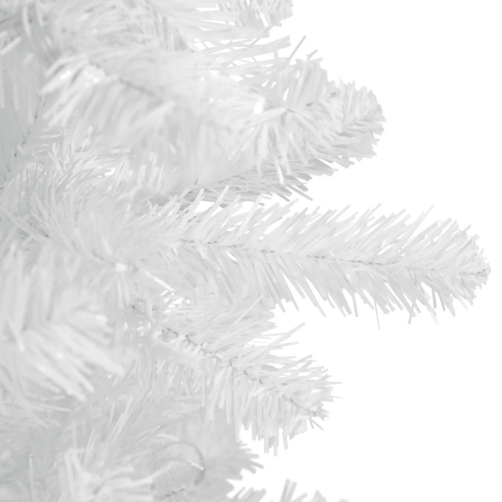 Bela klasična jelka