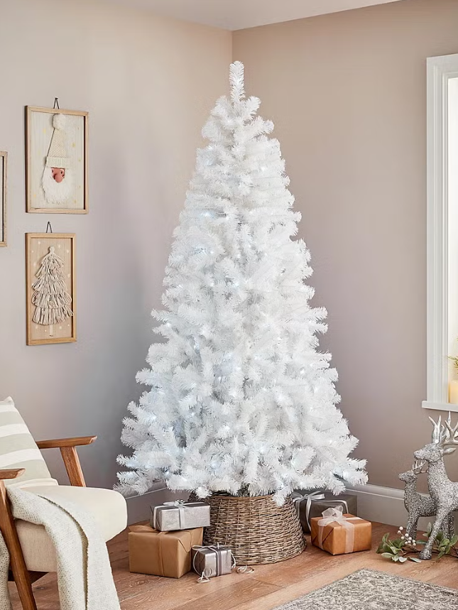 Bela klasična jelka